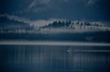 Alaska Mist Boat