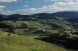Serbia Pasture